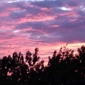 国产老年人操逼大片免费看
