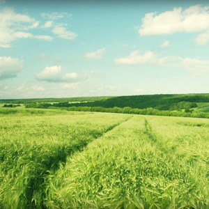 国产老年人操逼大片免费看
