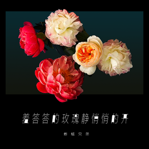 国产老年人操逼大片免费看
